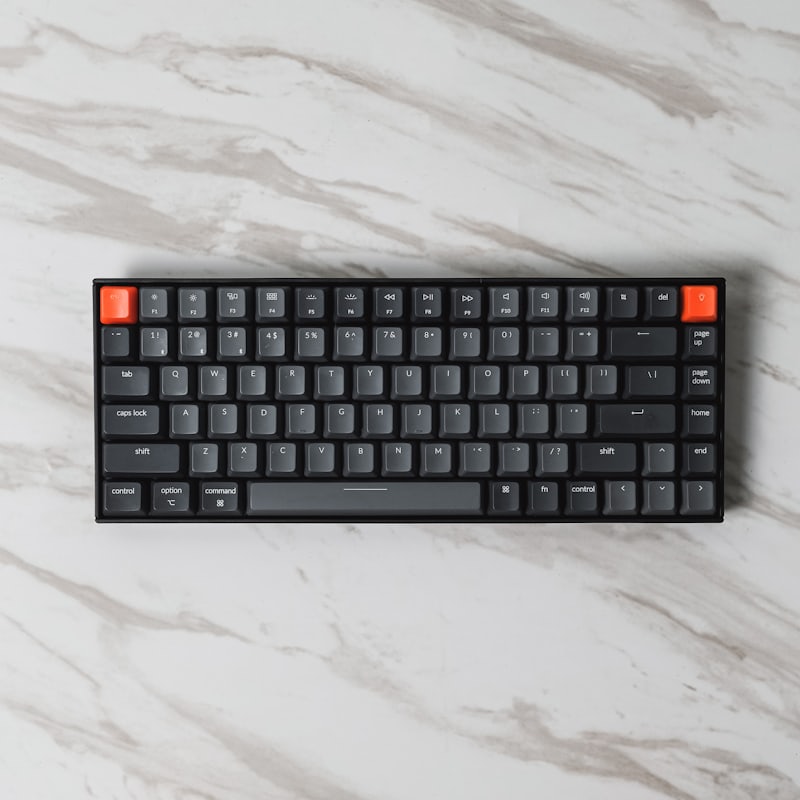 Keyboard (For Dogs) — 104 Key, Paw-Spaced